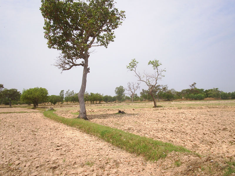 General view of the area near the confluence (II)