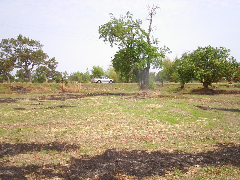 Road about 250m from confluence (looking northwest)