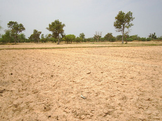 #1: General view of the confluence (looking southwest)