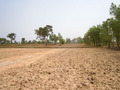 #4: Looking north from the confluence