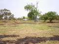 #9: Road about 250m from confluence (looking northwest)