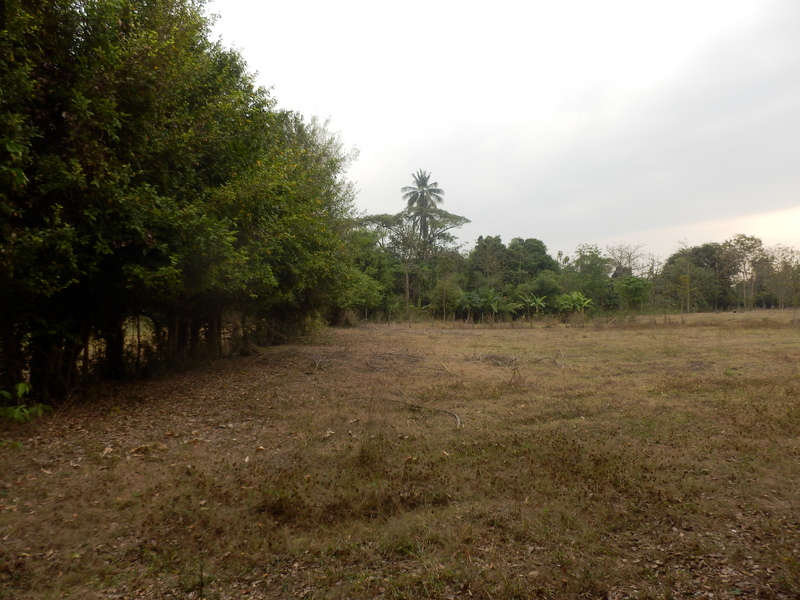 The Confluence from 15 m distance