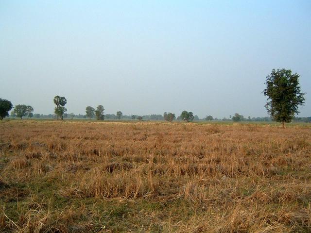 Looking North from confluence