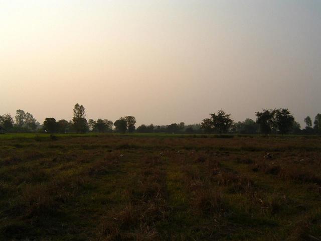 Looking West from confluence