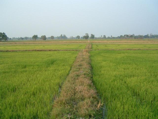 Walking back to the car in a northerly direction