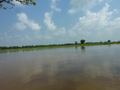 #4: View East