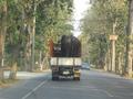 #9: Unusual traffic encountered on road