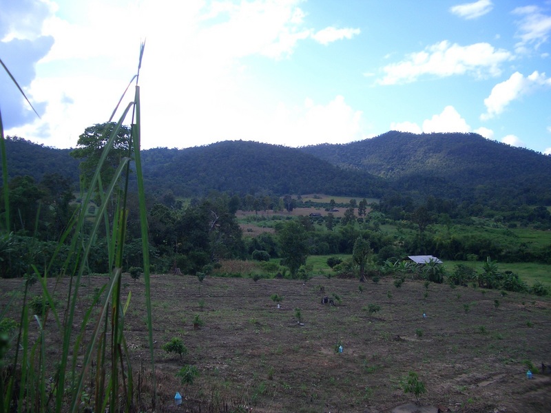 The hills I trekked through