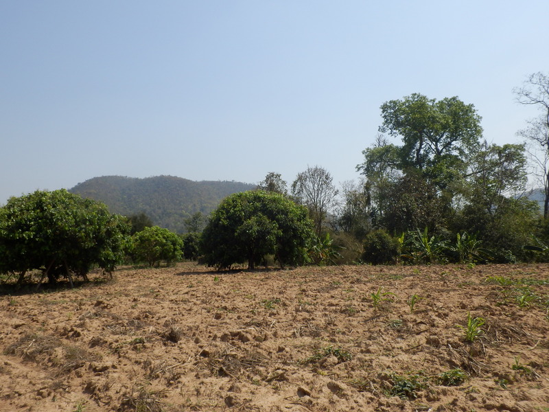 The Confluence from 15 m distance