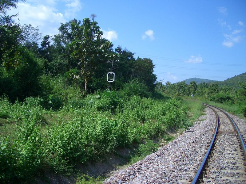 Confluence point behind the big tree next to the railway sign