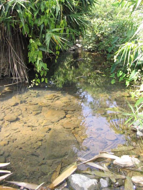 Creek close to where we parked