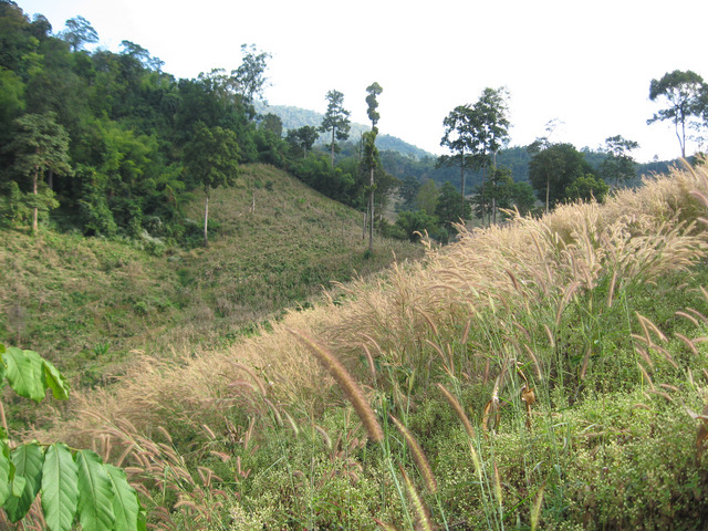 South from the confluence