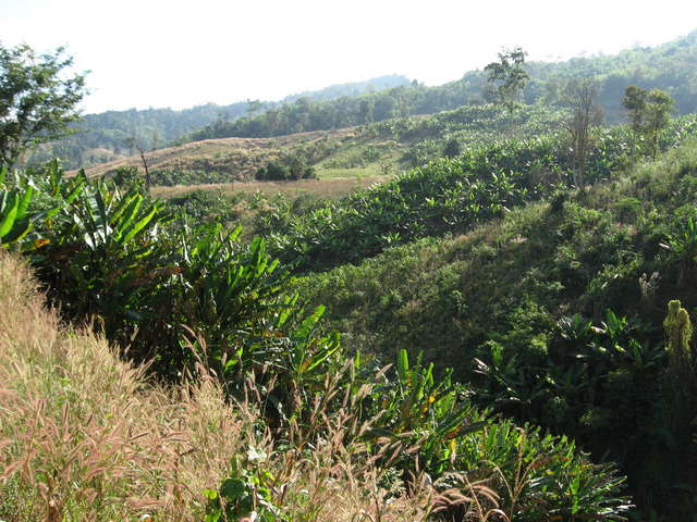 The cp is at the southern end of this valley