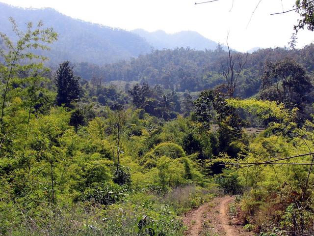 1.75 km from confluence