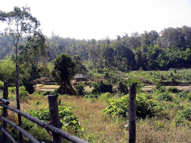 Village close to confluence