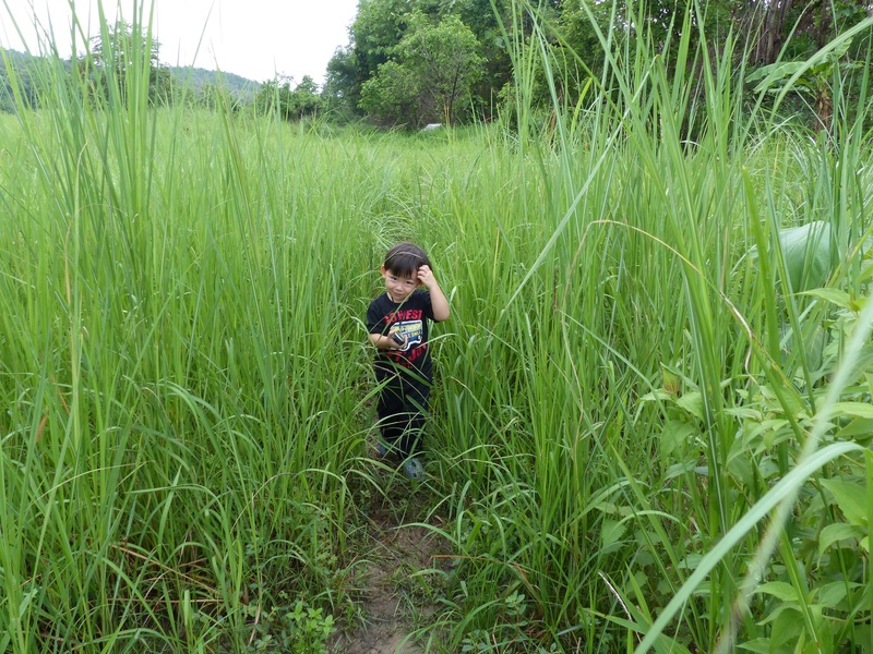 Andy in the tall grass.