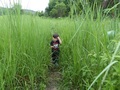#5: Andy in the tall grass.