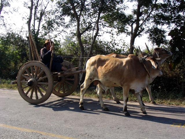 Traditional method of transportation