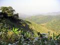 #4: Type of terrain in the area around confluence