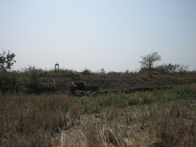 View south