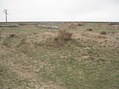#2: East