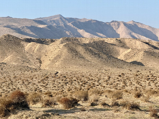 #1: Confluence Point