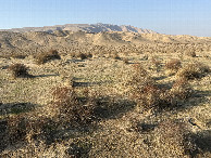 #4: View to the North 