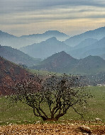 #9: Landscape nearby 