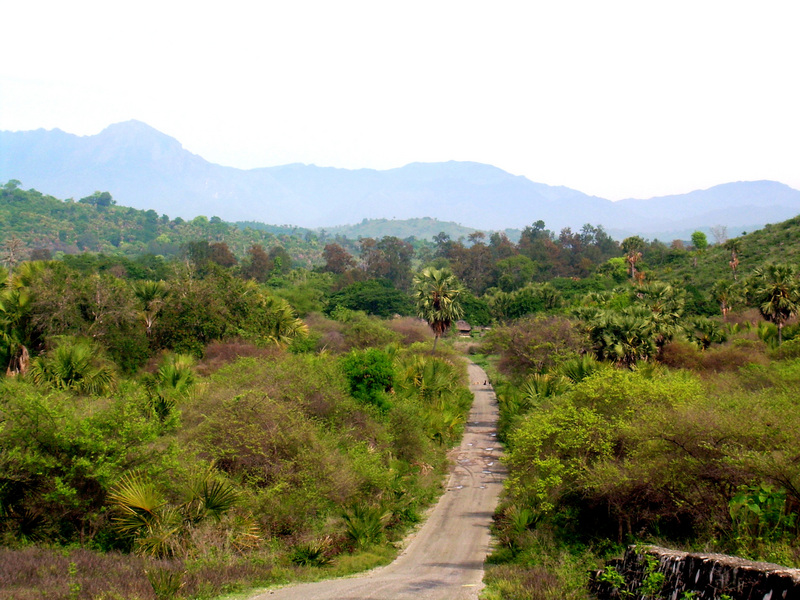 Excellent road east of Betano