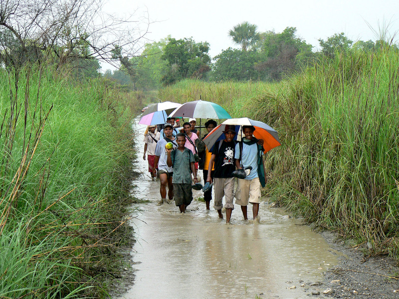 Main south coast road