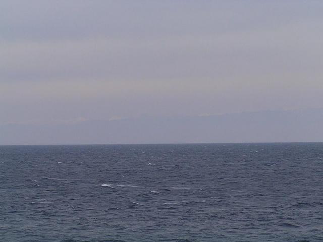 North view