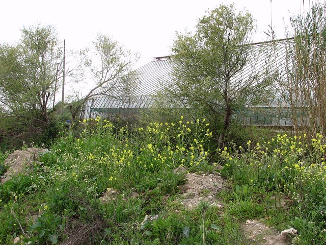 View south from Confluence