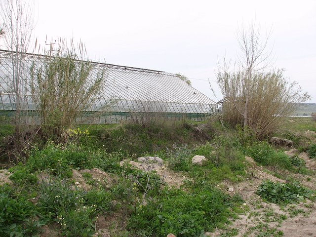 View west from Confluence