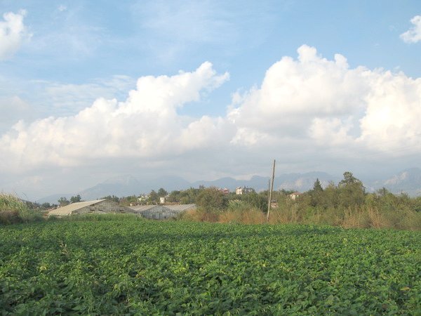 North view from confluence point