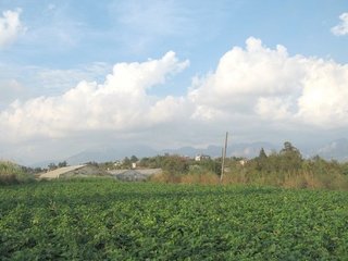 #1: North view from confluence point