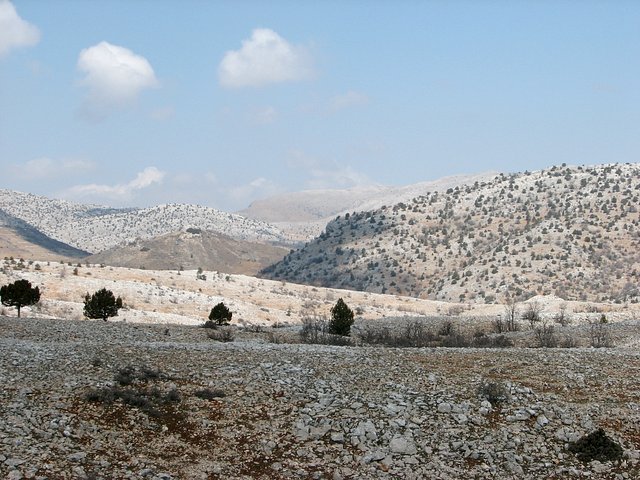 View north from Confluence