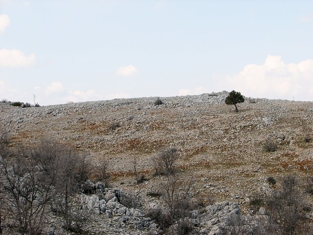 View west from Confluence