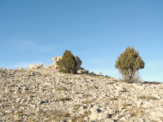 North view from intersection point