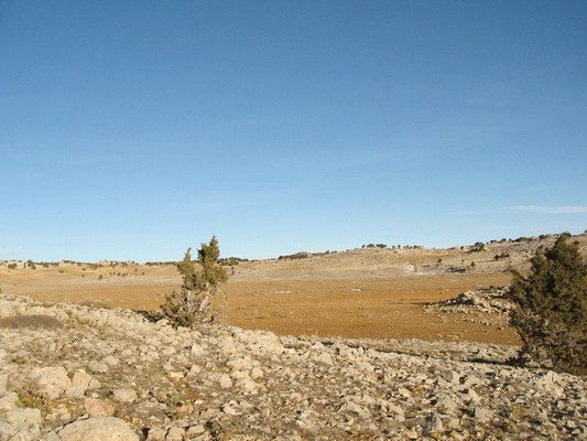 East view from intersection point