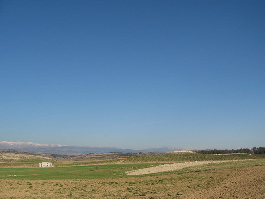 North view from intersection point