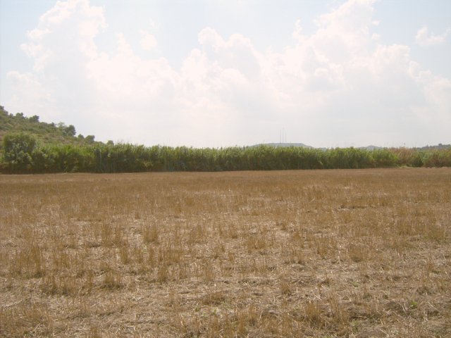 West