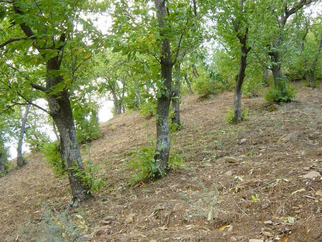 The Confluence from approx. 100 m