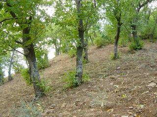 #1: The Confluence from approx. 100 m