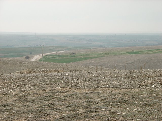 View south from Confluence