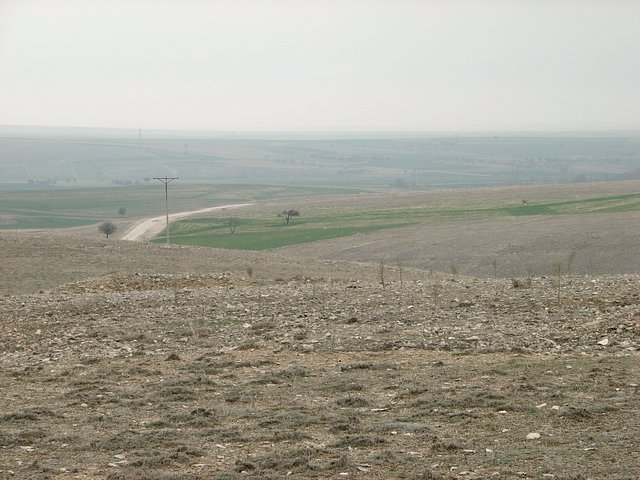 View south from Confluence