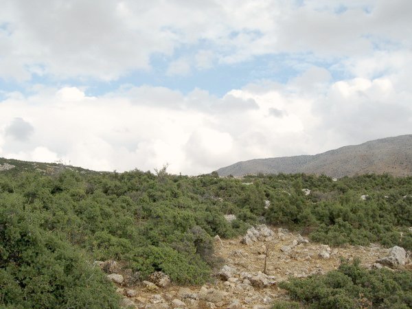 East view from confluence point