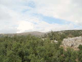 #1: North view from confluence point