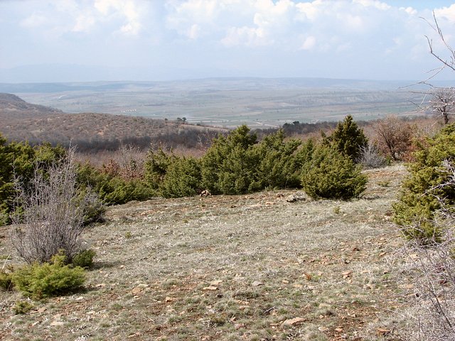 View towards the Confluence from east. The spot can be found in the centre of the picture, marked by a pile of stones left of the bush