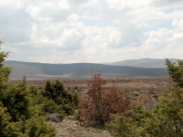 View towards south from Confluence