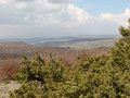 #5: View towards west from Confluence